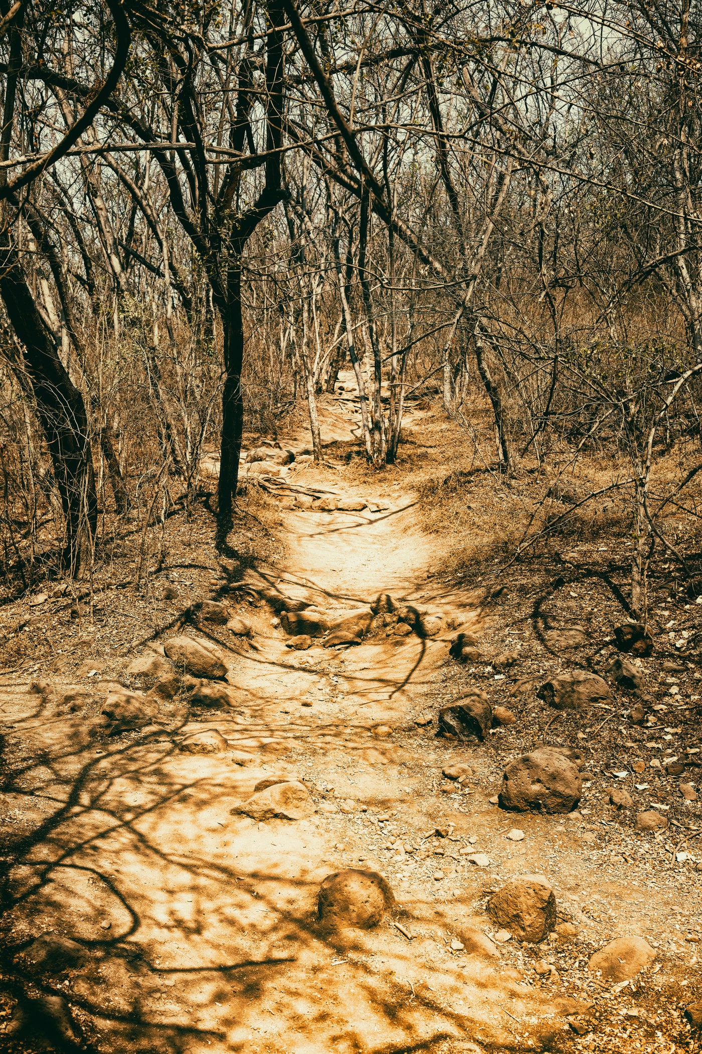 Pune – On the Streets of India — 12